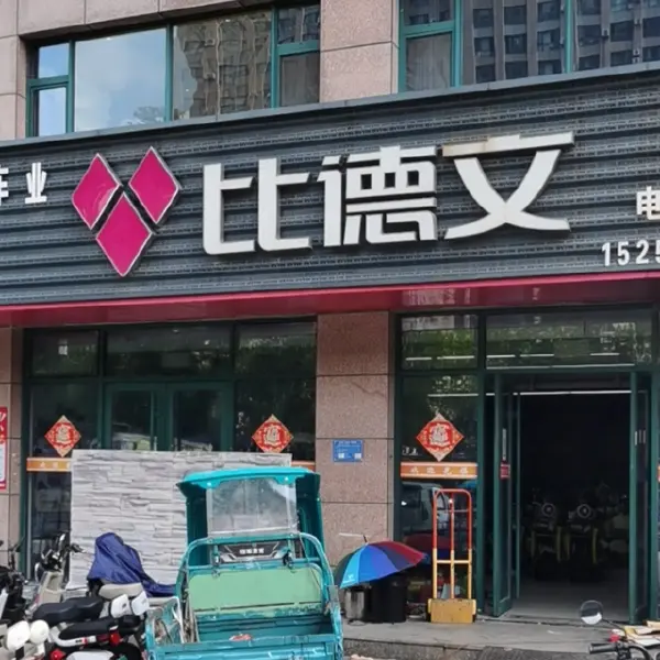 龙祥车业比德文电动车（桐荫街店）